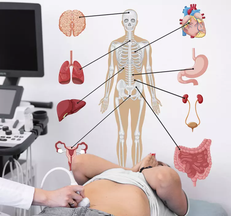 Medicininės infografijos sienos lipdukas - „Tenstickers“