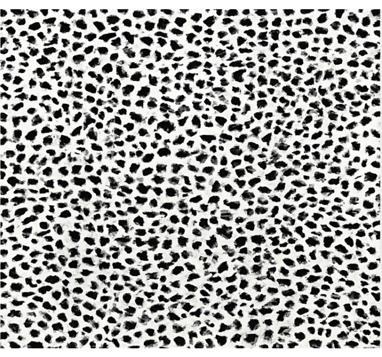 Monochrominis leopardo raštas valgomosios kambario kilimas - „Tenstickers“