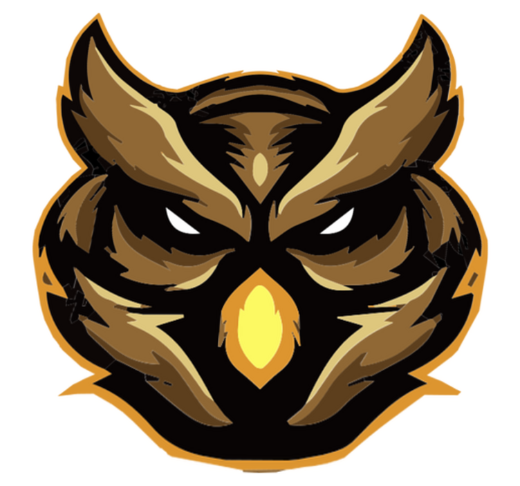 Gyvūnų vinilo kilimėlis sužvėrėjusio pelėdos emblema - „Tenstickers“