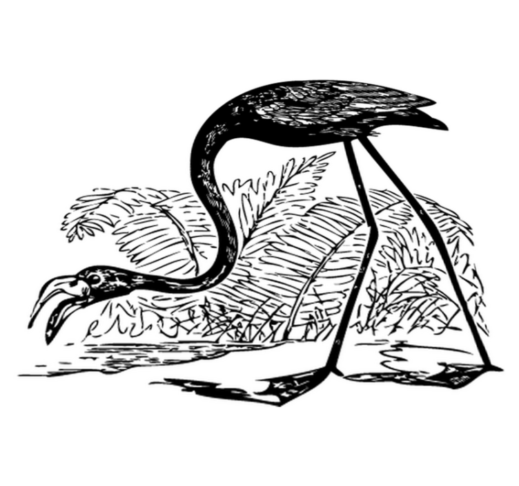 Gyvūnų vinilo kilimėlis flamingas su paparčiais - „Tenstickers“