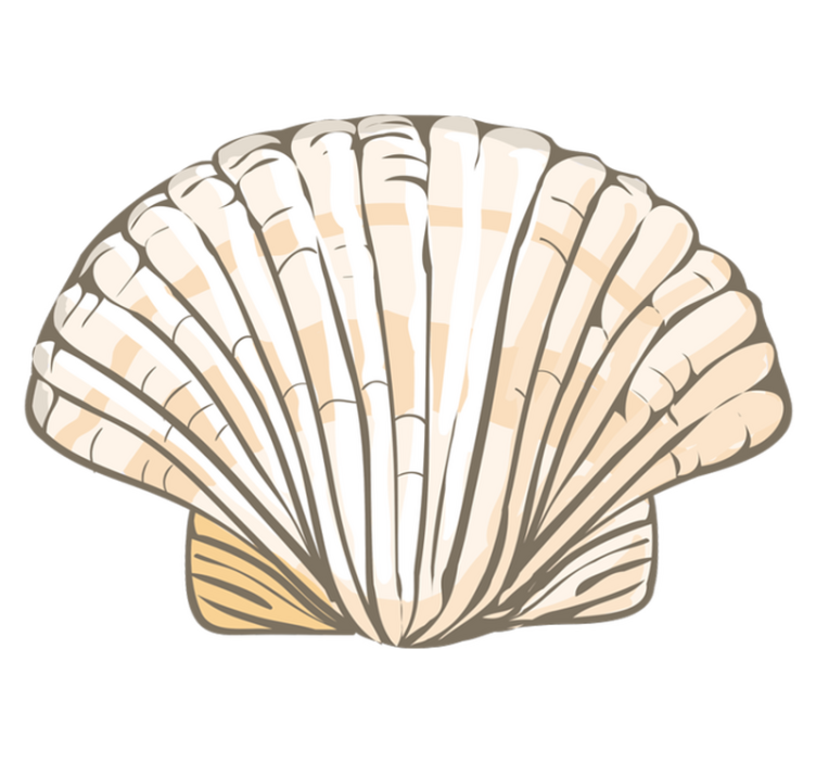 Didelis kriauklės formos vinilo kilimas - „Tenstickers“