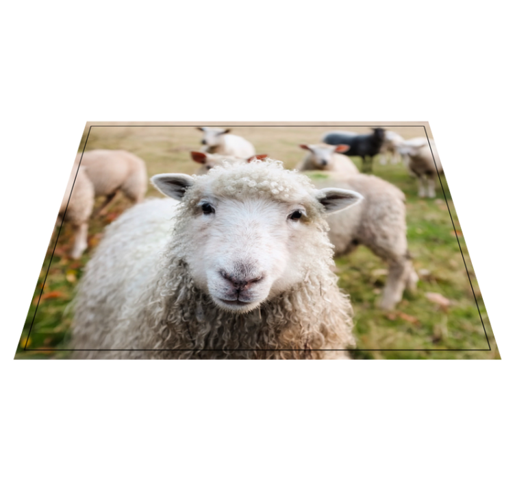 Garbanotas avių veidas gyvūnų vinilo kilimėlis - „Tenstickers“