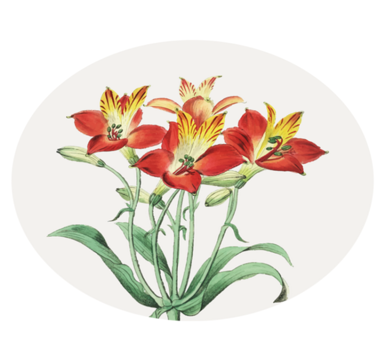 Gyvi raudoni žiedai gėlių rašto kilimėlis - „Tenstickers“