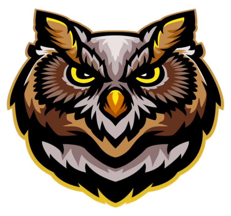 Gyvūnų vinilo kilimėlis pelėdos veido menas - „Tenstickers“