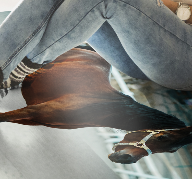 Gyvūninis rudas arklio vinilo kilimas - „Tenstickers“