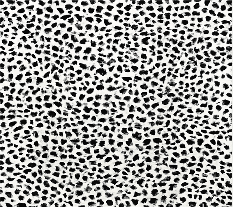 Monochrominis leopardo raštas valgomosios kambario kilimas - „Tenstickers“