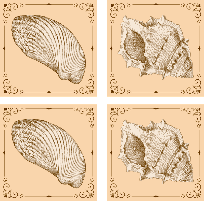 Gyvūnų vinilo kilimėlis su retro jūros kriauklėmis - „Tenstickers“