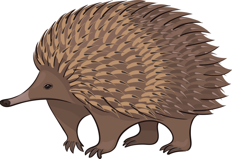 Gyvūnų vinilo kilimėlis su draugišku ežiuku - „Tenstickers“