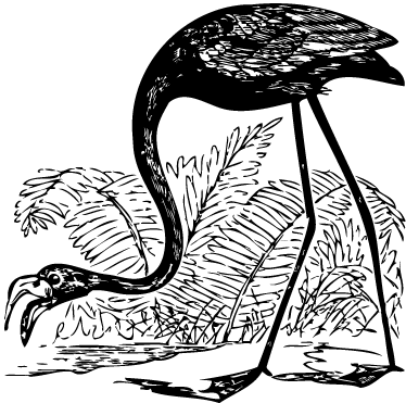 Gyvūnų vinilo kilimėlis flamingas su paparčiais - „Tenstickers“