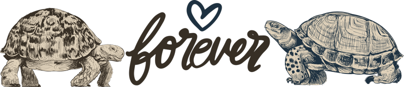 Gyvūnų vinilo kilimėlis amžina viltis ir meilė - „Tenstickers“