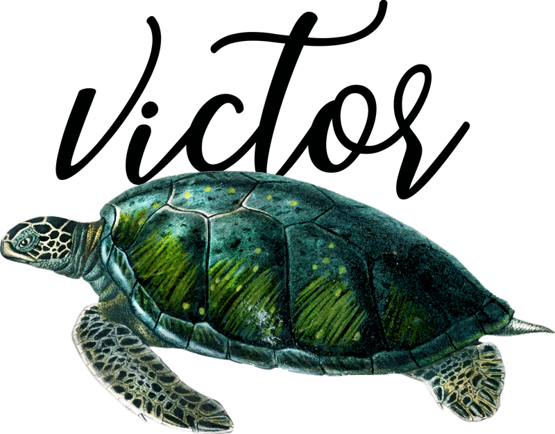 Gyvūnų vinilo kilimėlis su pritaikomu vėžlio dizainu - „Tenstickers“