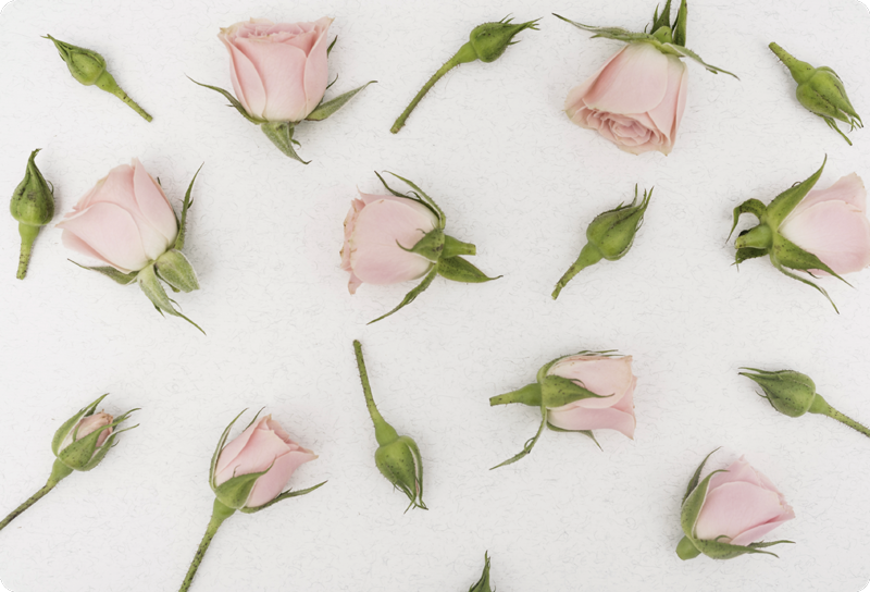 Gėlių rašto kilimėlis romantiškiems pavasario žiedams - „Tenstickers“