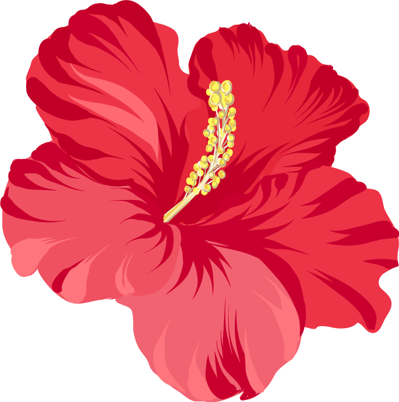 Gėlių rašto kilimėlis raudono hibisko rinkiniui - „Tenstickers“
