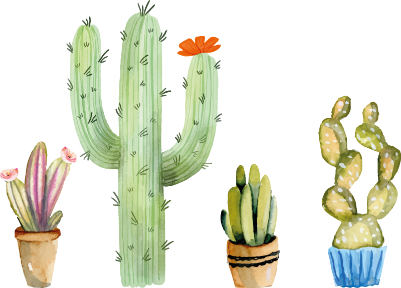 Valgomosios kambario kilimas su kaktusų rinkiniu - „Tenstickers“