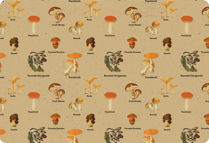 Gamtos vinilinis kilimas senovinių grybų tipai - „Tenstickers“