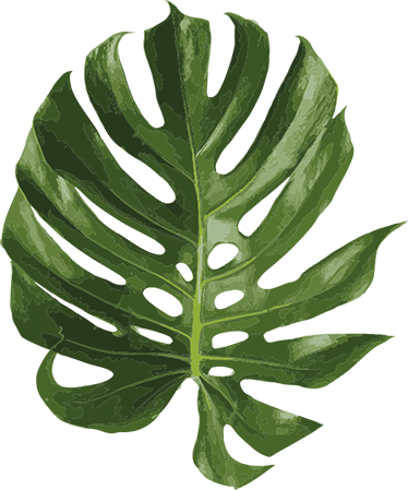 Gėlių rašto kilimėlis su skaniu monstera lapu - „Tenstickers“