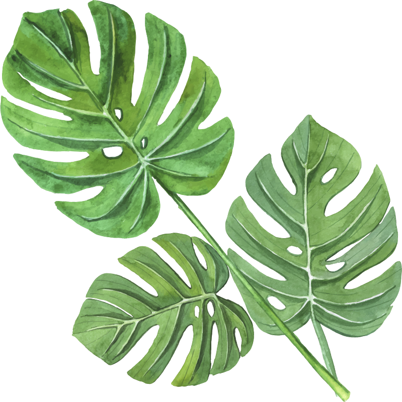 Gėlių rašto kilimėlis su monstera akvarele - „Tenstickers“