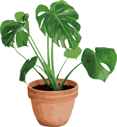 Gėlių rašto kilimėlis paprastam monstera vazonui - „Tenstickers“