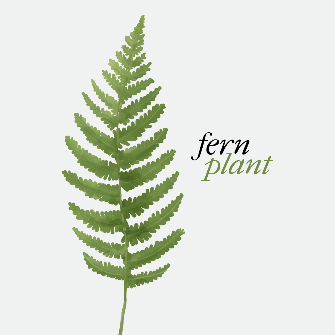 Vinilo kilimėlas su frazėmis fern augalo minimalizmas - „Tenstickers“
