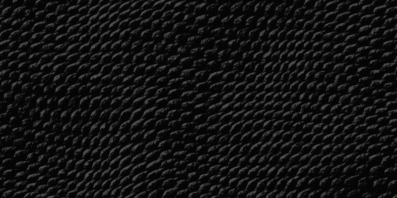 Juodos gyvatės odos gyvūninės spalvos vinilo kilimėlis - „Tenstickers“