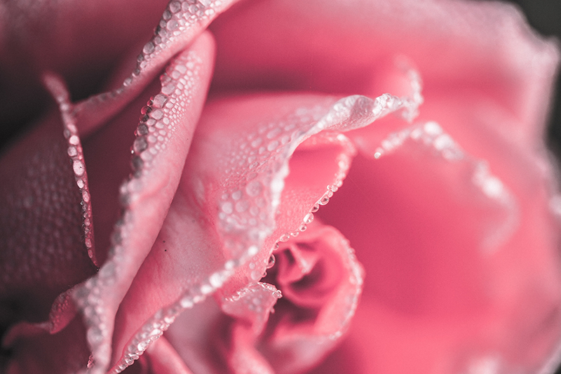 Nuostabus rožinės vinilo kilimėlis valgomajam - „Tenstickers“