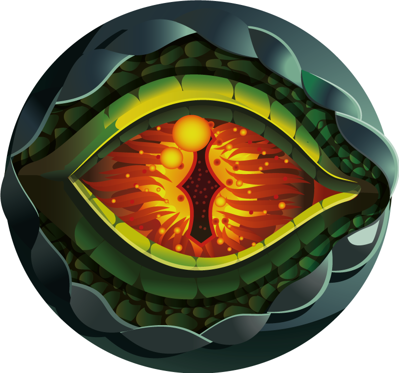 Abstrakčios gamtos akis gamtos vinilinis kilimas - „Tenstickers“