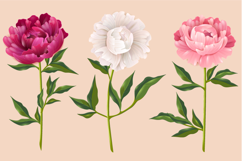 Vonios kambario vinilo kilimėlis elegantiškame trio - „Tenstickers“