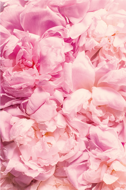 švelniai rožinės spalvos detalės vinilinis kilimas svetainei - „Tenstickers“