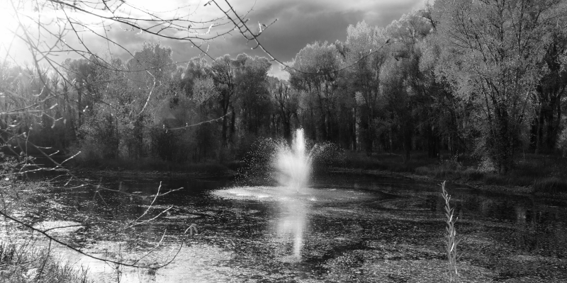 Ramus krioklio vaizdas gamtos vinilinis kilimas - „Tenstickers“