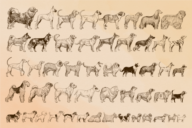 Smėlio spalvos šunų iliustracijos gyvūnų vinilo kilimėlis - „Tenstickers“