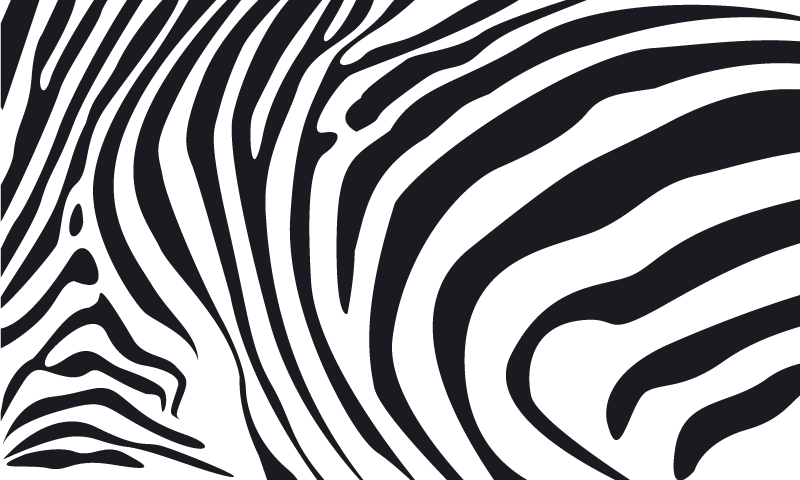 Gyvūnų spaudos vinilo kilimėlis zebra juostelės - „Tenstickers“