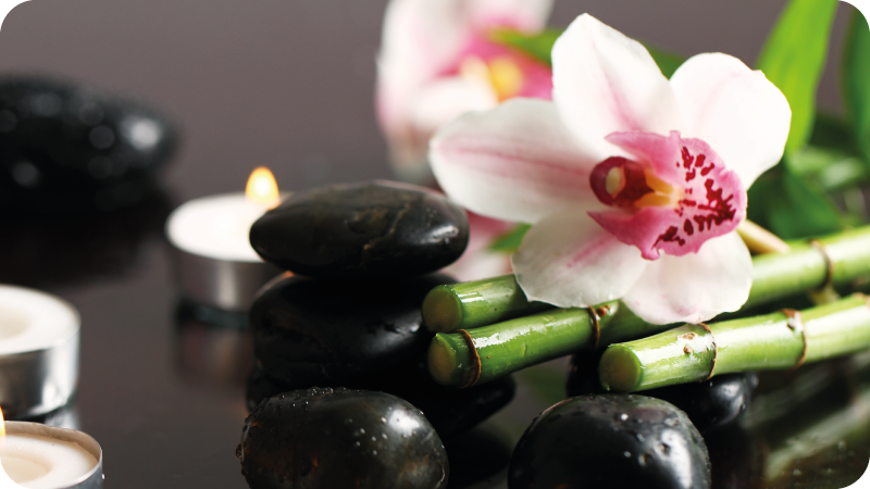 Orchidėjų ramybė gamtos vinilinis kilimas - „Tenstickers“