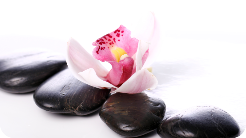 Orchidėja su akmenimis gėlių vinilo kilimas - „Tenstickers“