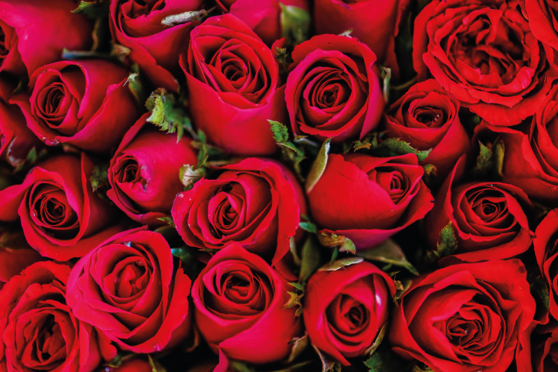 Rožių puokštė gėlių rašto kilimėlis - „Tenstickers“