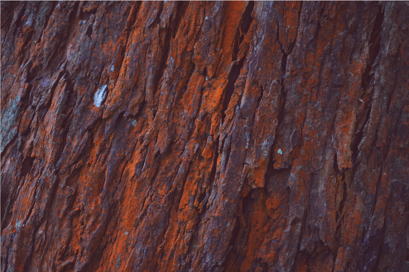 Kaimiška žievė medžio efekto kilimas - „Tenstickers“