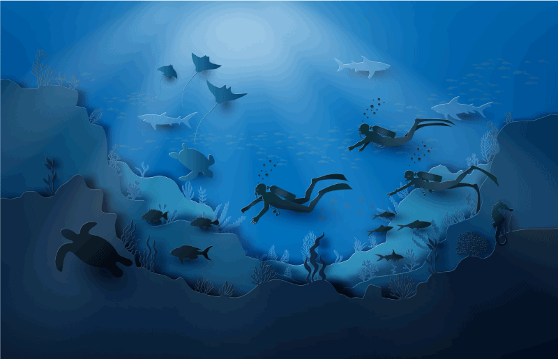 Povandeninis tyrinėjimas gamtos vinilinis kilimas - „Tenstickers“