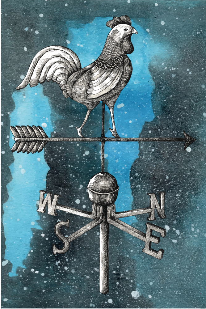 Vėjarodė žvaigždėta naktis su viščiuko gyvūno kilimu - „Tenstickers“