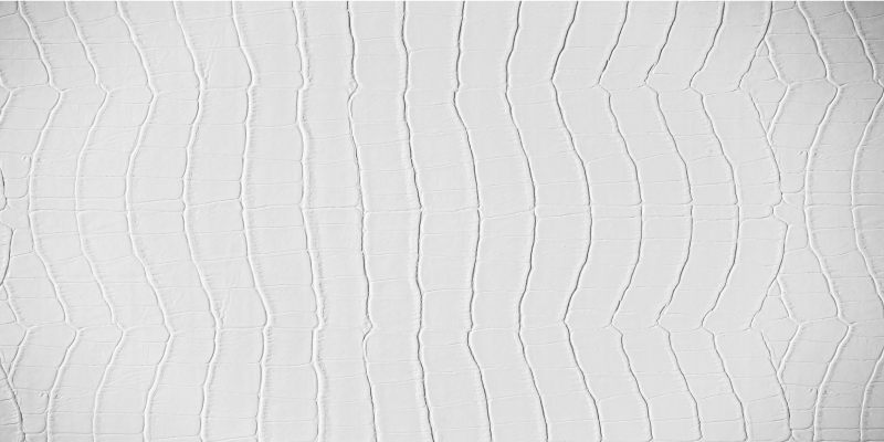 Elegantiškas krokodilas gyvūnų spaudos vinilo kilimėlis - „Tenstickers“