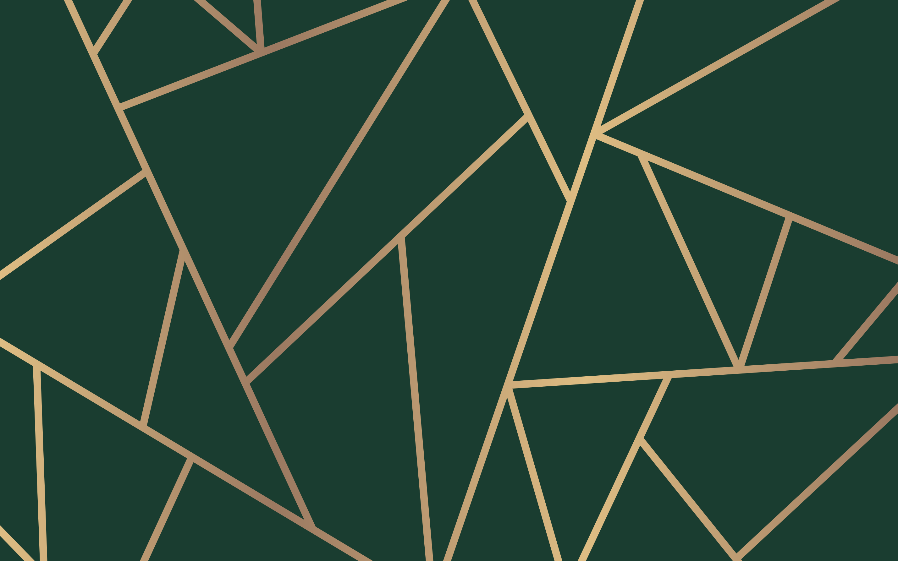 Auksinės linijos butelis žalias fonas modernus kilimas - „Tenstickers“