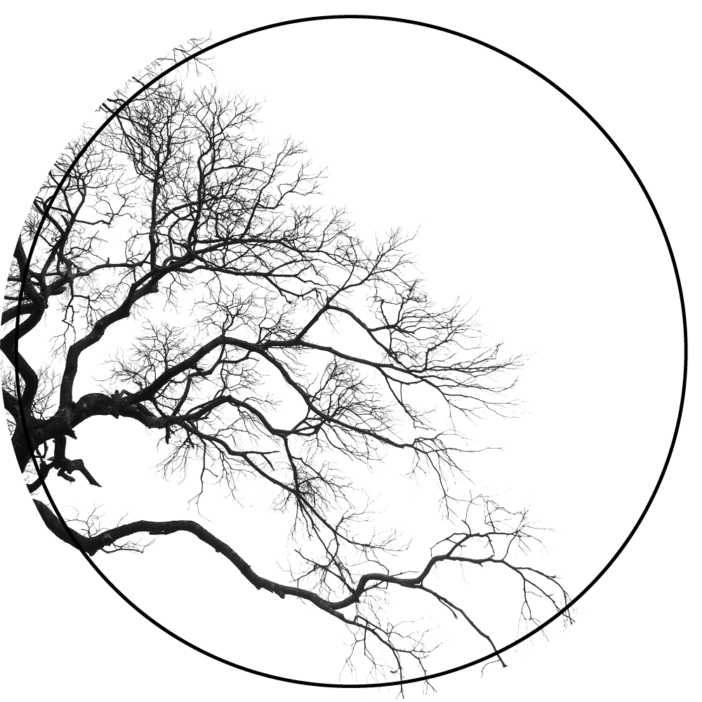 šakos silueto menas gamtos vinilinis kilimas - „Tenstickers“