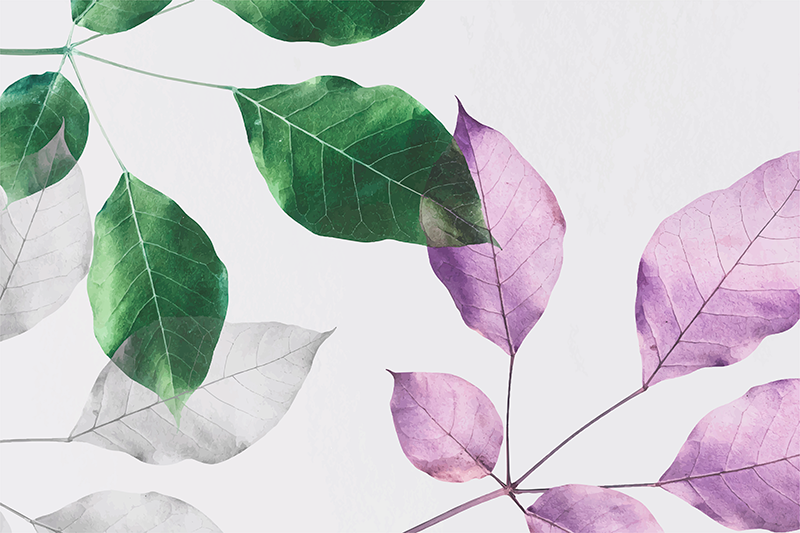 Lapinės botanikos raštai gėlių rašto kilimėlis - „Tenstickers“