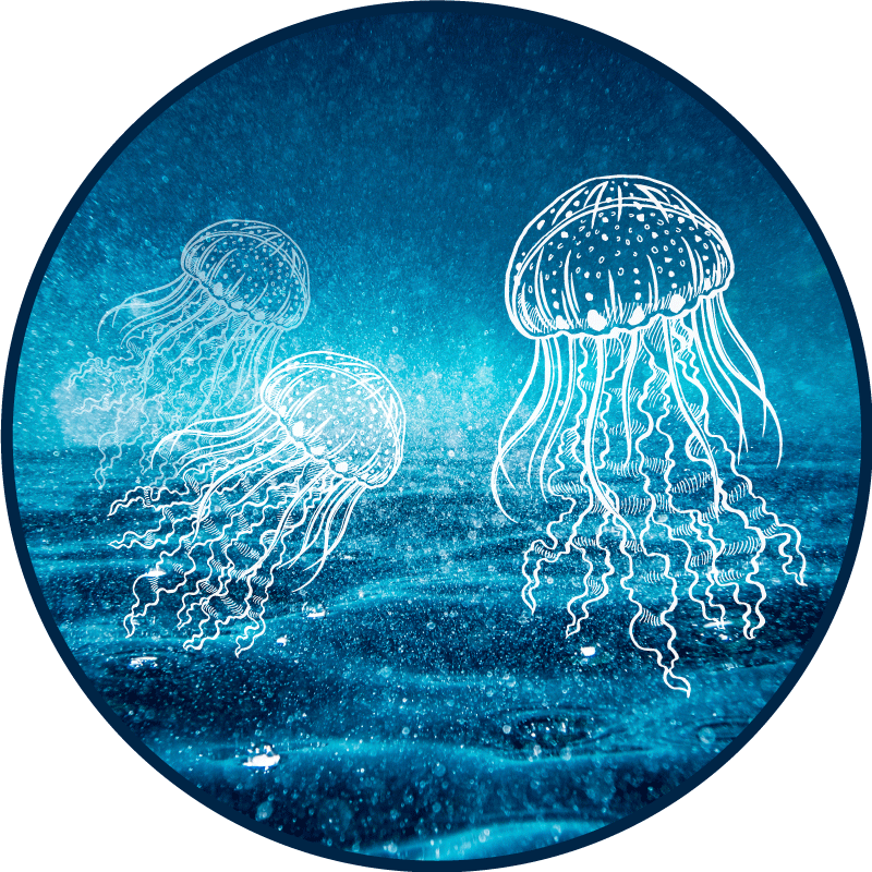 Jellyfish Ocean Scene gyvūnų vinilo kilimėlis - „Tenstickers“