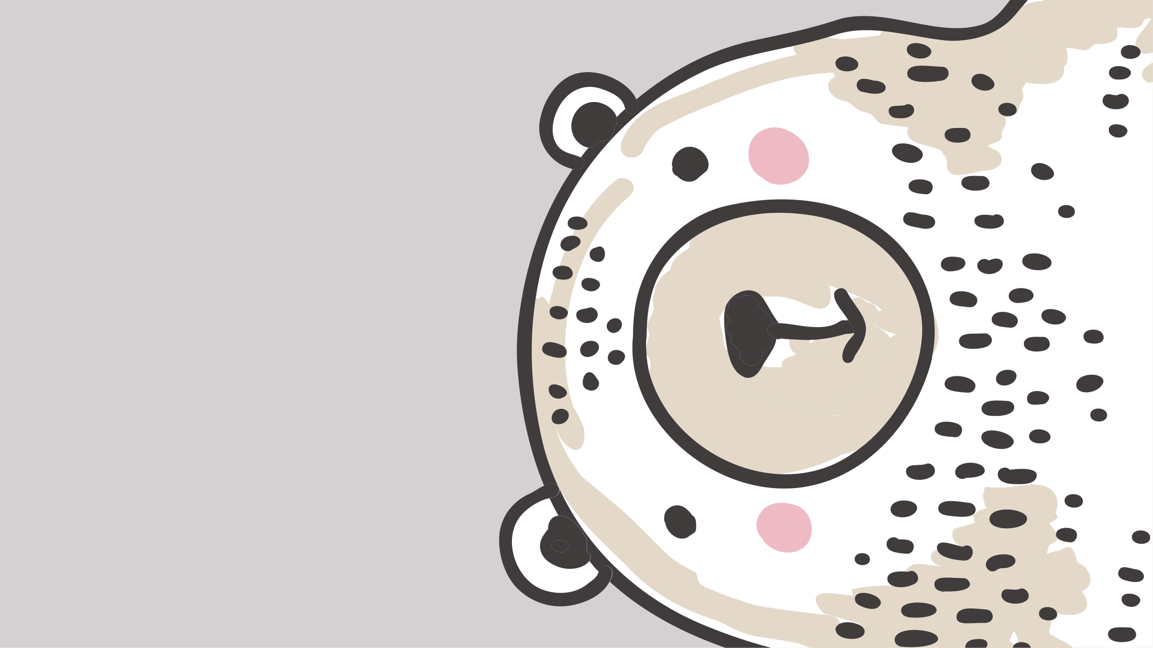 Meškos veido forma kilimas vaiko kambariui - „Tenstickers“