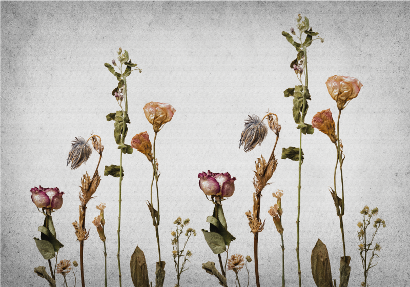 Botaniniai vaizdai gėlių rašto kilimėlis - „Tenstickers“